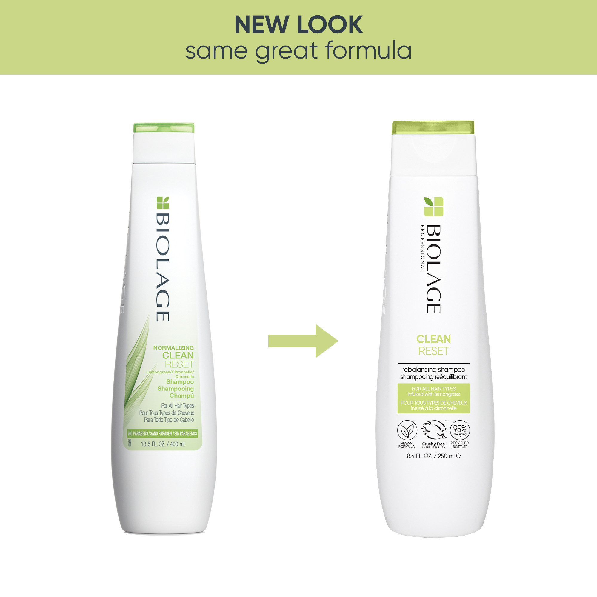 Matrix Biolage Normalizing Clean Shampoo 250ml
