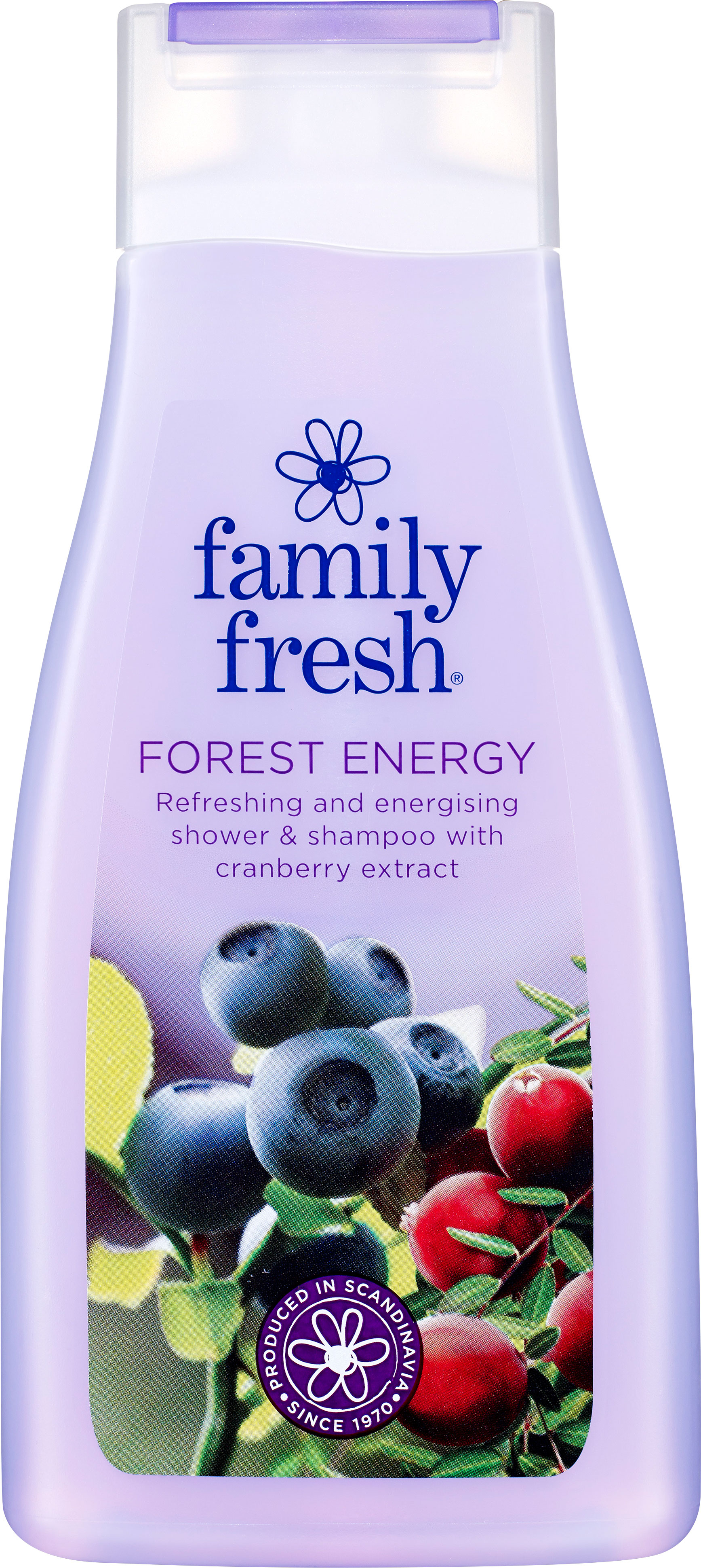 Family Fresh Forest Energy 500ml