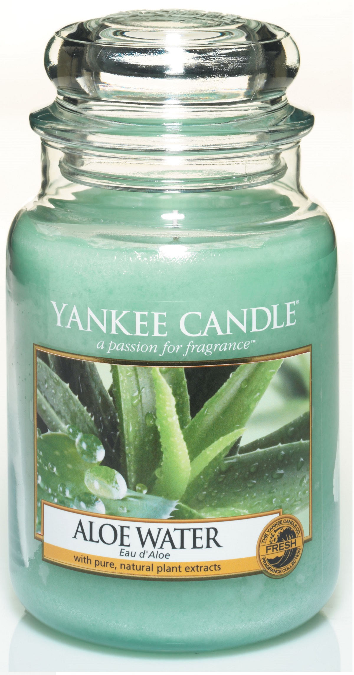 Yankee Candle Aloe Water Large Jar