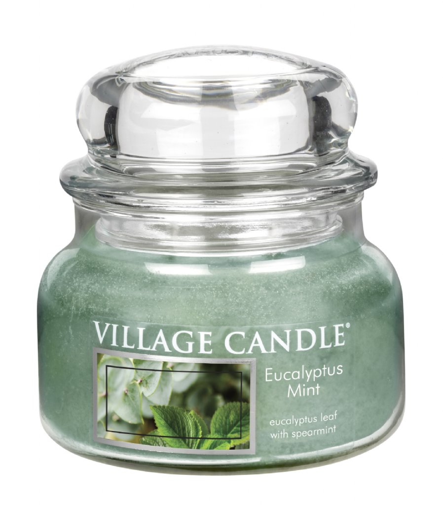 Village Candle Eucalyptus Mint 11oz