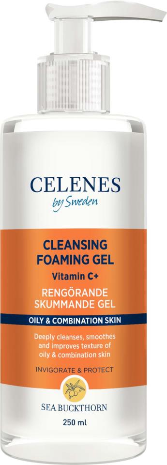 Celenes Sea Buckthorn Cleansing Foaming Gel Oily & Combinatin Skin 250 ml