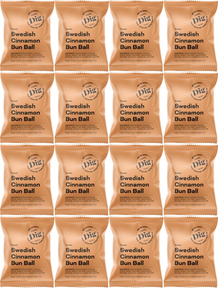 DIG Organic Swedish Cinnamon Bun Ball 16 x 25g